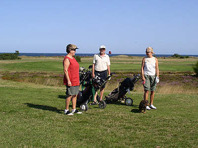 Spillere og hund på golfbanen