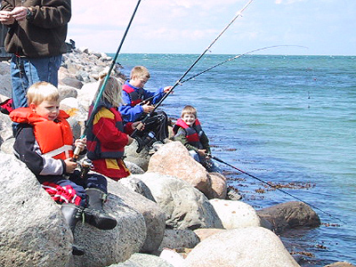 Børn fisker fra stenmolen